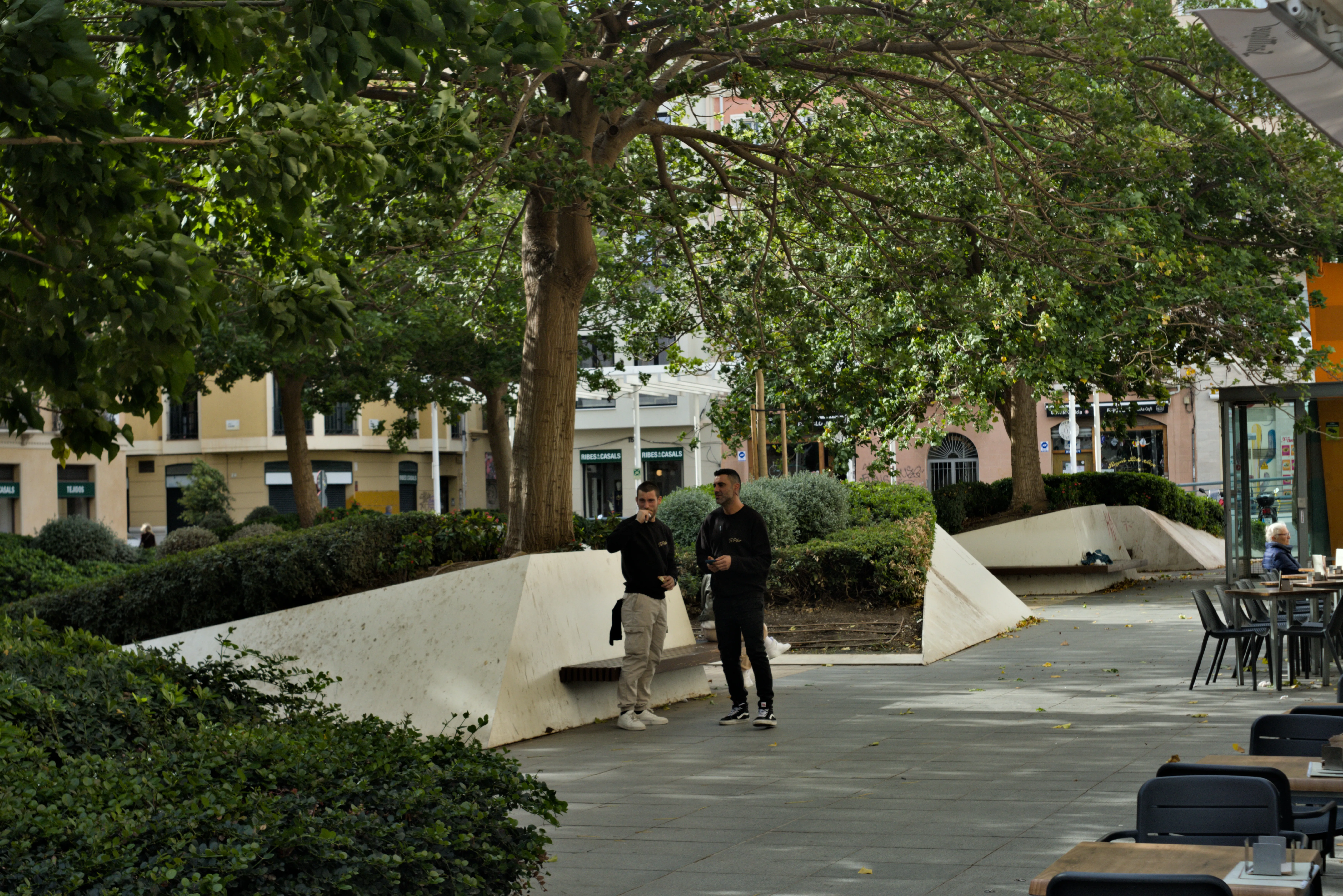 Meyer-Optik Görlitz Primagon 35mm f4.5 (M42) - _I4A4615.webp